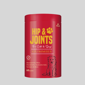 Hip & Joints